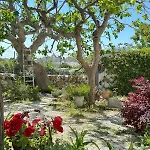 Сasa de vacaciones Trulli Aia Piccola Alberobello
