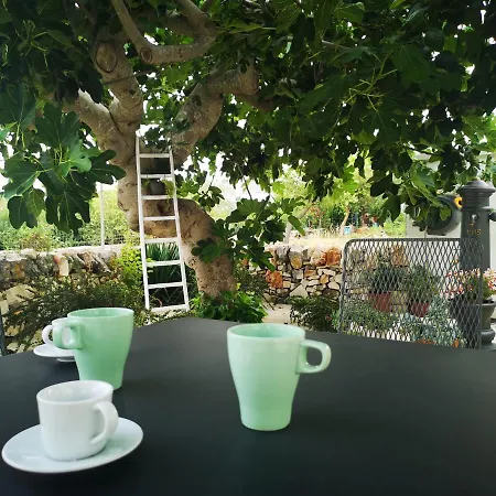 Trulli Aia Piccola * Αλμπερομπέλο