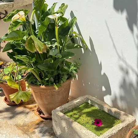 Trulli Aia Piccola Αλμπερομπέλο