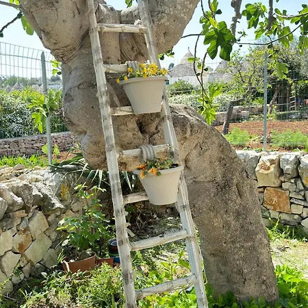 Trulli Aia Piccola *