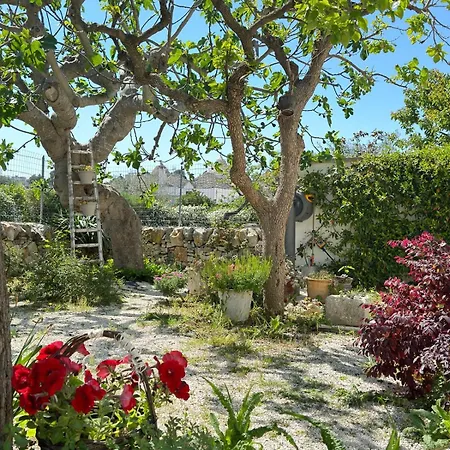 Σπίτι διακοπών Trulli Aia Piccola Αλμπερομπέλο