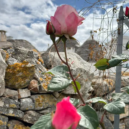 Σπίτι διακοπών Trulli Aia Piccola *