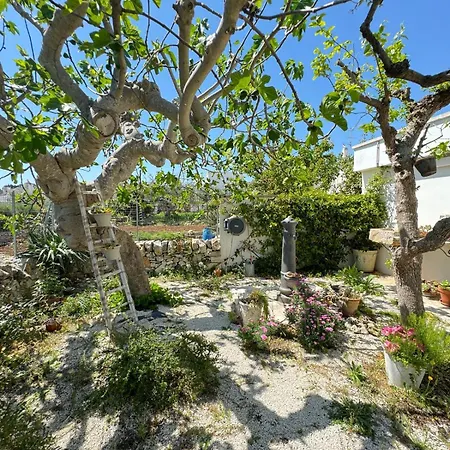 Trulli Aia Piccola * アルベロベッロ