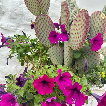 Casa vacanze Trulli Aia Piccola