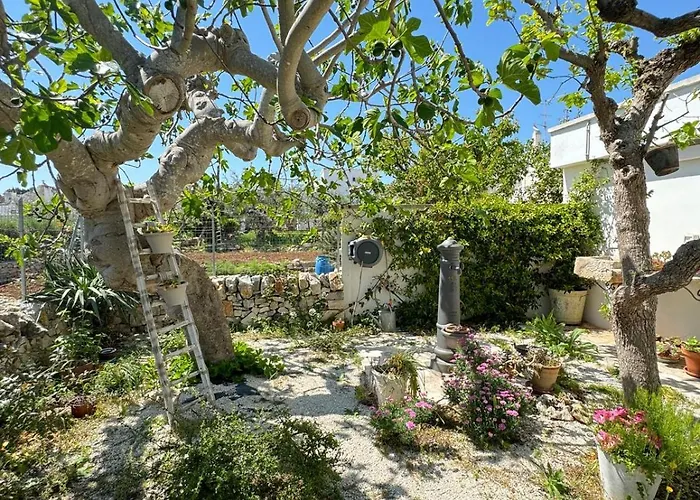 Trulli Aia Piccola * アルベロベッロ